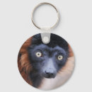 Search for lemur round key rings Cute
