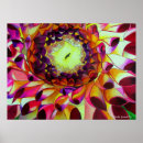 Search for original pop art Colourful