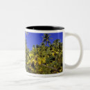 Search for line cook mugs Pacific