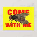 Search for flying insect postcards Flies