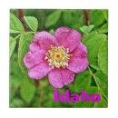 Search for floras tiles Plants