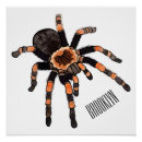Search for tarantula posters Insect