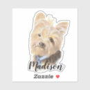 Search for large animal stickers Pet