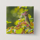 Search for selection badges Wildlife