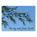 Search for summer sky posters Calm