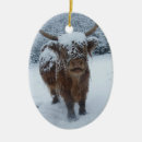 Search for highland cattle christmas tree decorations Animal