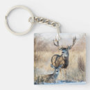 Search for mule key rings Wildlife