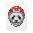 Search for panda magnets Cute