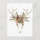 Search for deer postcards Skull