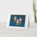 Search for pelican cards Wildlife