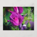 Search for budding postcards Garden
