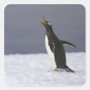 Search for gentoo stickers Animal