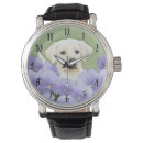 Search for labrador watches Cute