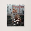Search for cat puzzles Modern