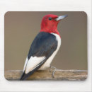 Search for fencing mousepads Black