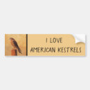 Search for raptor bumper stickers Falcon