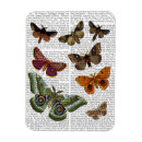 Search for moth magnets Flower leaves
