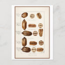 Search for pecan Southern