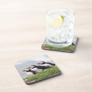 Search for birdwatching barware Photography