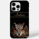 Search for owl pics cases Nature