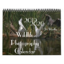 Search for photography calendars Butterflies