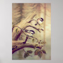 Search for twig posters Forest