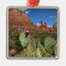 Search for sedona arizona christmas tree decorations Nature