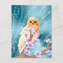 Search for owl on a branch postcards Blue