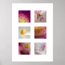 Search for selected photography Pink