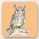 Search for owl illustration coasters Animal