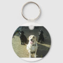 Search for lab key rings Animals