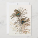 Search for peacock christmas cards Xmas