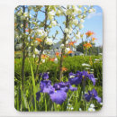 Search for iris mousepads Orange