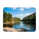 Search for spruce tree magnets Forest