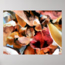 Search for dried flowers posters Potpourri