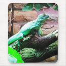 Search for ecological mousepads Green