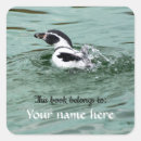 Search for penguin teacher Back to school