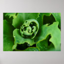 Search for droplets posters Botanical