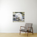 Search for young animal posters Polar bear cub
