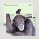 Search for chimp photography Chimpanzee