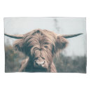 Search for cow pillowcases Animal