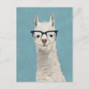 Search for square postcards Animals