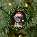 Search for boxer dog christmas tree decorations Watercolor