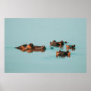 Search for hippo posters Africa
