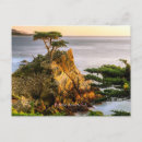 Search for beach pebbles postcards Nature