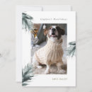 Search for from the dog christmas cards Modern