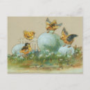 Search for vintage easter chicks postcards Bunny