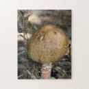 Search for woodlands puzzles Photography