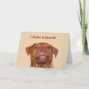 Search for pitbull birthday cards Puppy