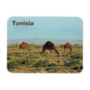 Search for tunisia magnets Africa